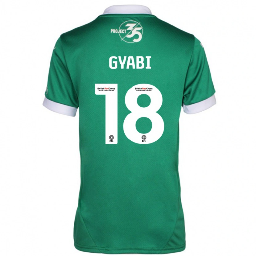 Danxen Niño Camiseta Darko Gyabi #18 Verde Blanco 1ª Equipación 2024/25 La Camisa