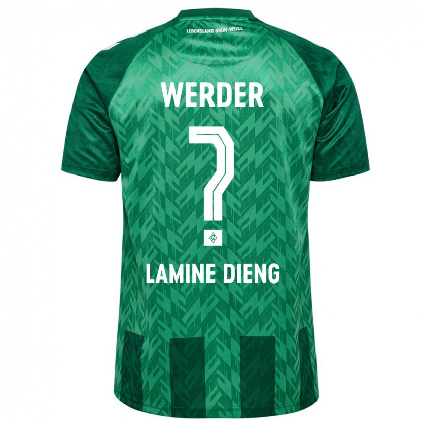 Danxen Niño Camiseta Mamadou Lamine Dieng #0 Verde 1ª Equipación 2024/25 La Camisa