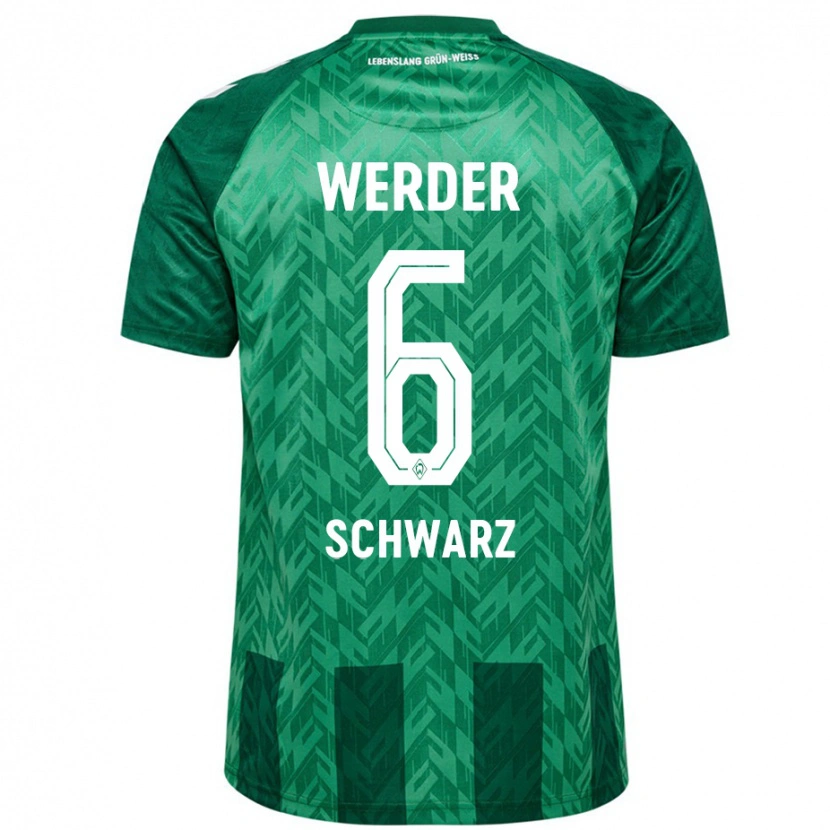 Danxen Niño Camiseta Ricardo-Felipe Schwarz #6 Verde 1ª Equipación 2024/25 La Camisa