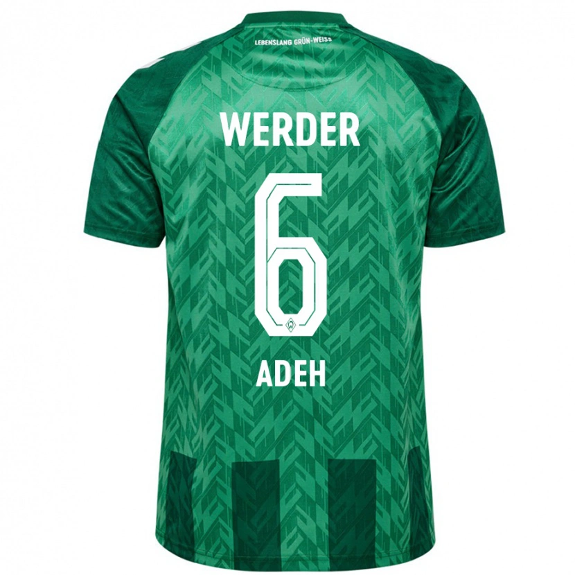 Danxen Niño Camiseta Wesley Adeh #6 Verde 1ª Equipación 2024/25 La Camisa