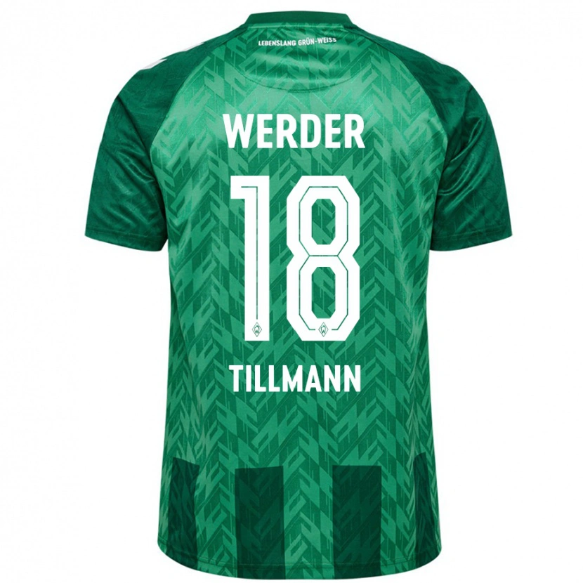 Danxen Niño Camiseta Felix Tillmann #18 Verde 1ª Equipación 2024/25 La Camisa