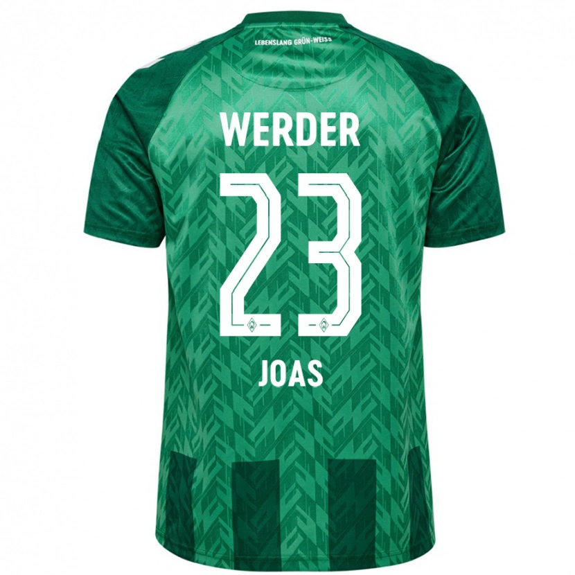 Danxen Niño Camiseta Julius Joas #23 Verde 1ª Equipación 2024/25 La Camisa