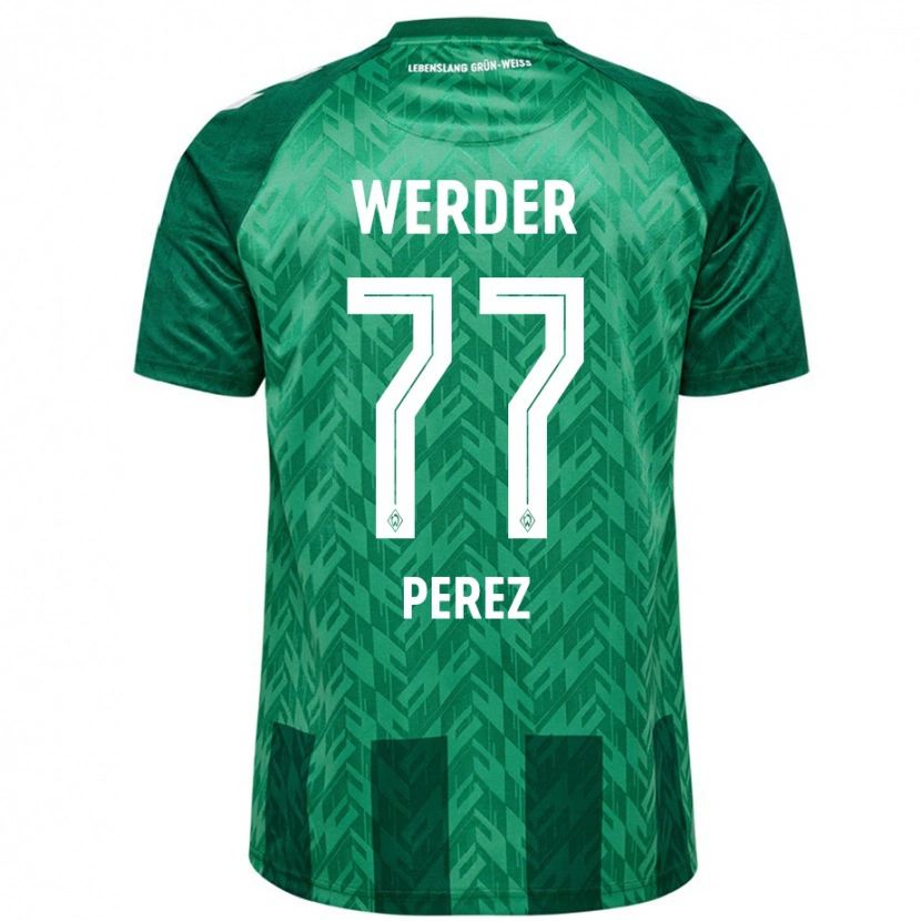 Danxen Niño Camiseta Catalina Pérez #77 Verde 1ª Equipación 2024/25 La Camisa