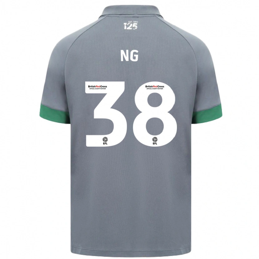 Danxen Niño Camiseta Perry Ng #38 Gris Oscuro 2ª Equipación 2024/25 La Camisa