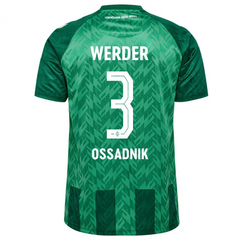 Danxen Hombre Camiseta Jannes Ossadnik #3 Verde 1ª Equipación 2024/25 La Camisa