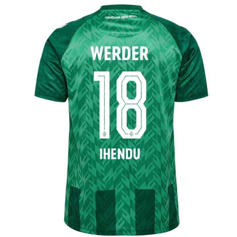 Danxen Hombre Camiseta Daniel Ihendu #18 Verde 1ª Equipación 2024/25 La Camisa